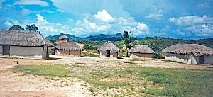 a-1.jpg