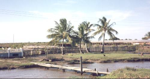 berbice_smbridge.jpg