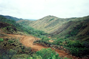 bikingtrail5.jpg