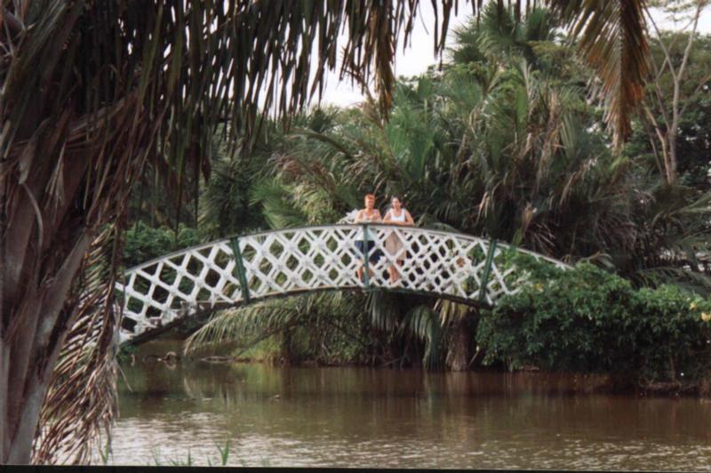 botanic.jpg