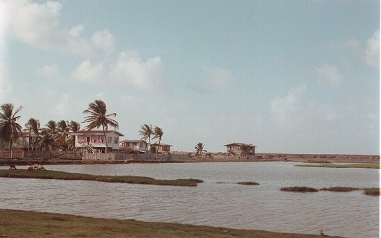 ec-sea-wall.jpg