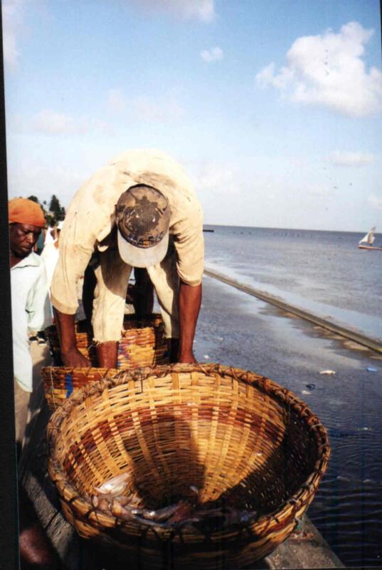 fishgarnalen.jpg