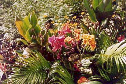 flowers_.jpg