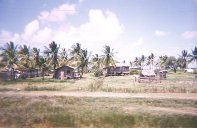 g01.jpg