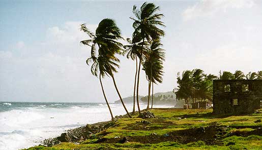guyana-plage.jpg