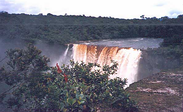 guyana-potar.jpg