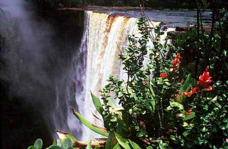 guyana-potaro.jpg