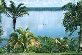 guyana1.jpg