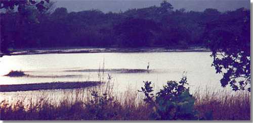 river_by_night.jpg