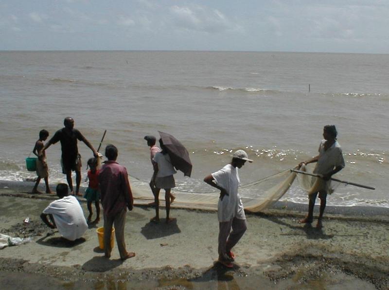 sundayshrimpfishers.jpg